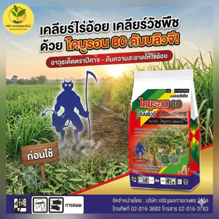ไดยูรอน 80 WG แบบเม็ด เดย์รอน (1 กิโลกรัม) ฆ่าหญ้าคุมหญ้าในอ้อย มัน สัปปะรด ไดยูรอน ใบแคบ ใบกว้าง ปีศาจ