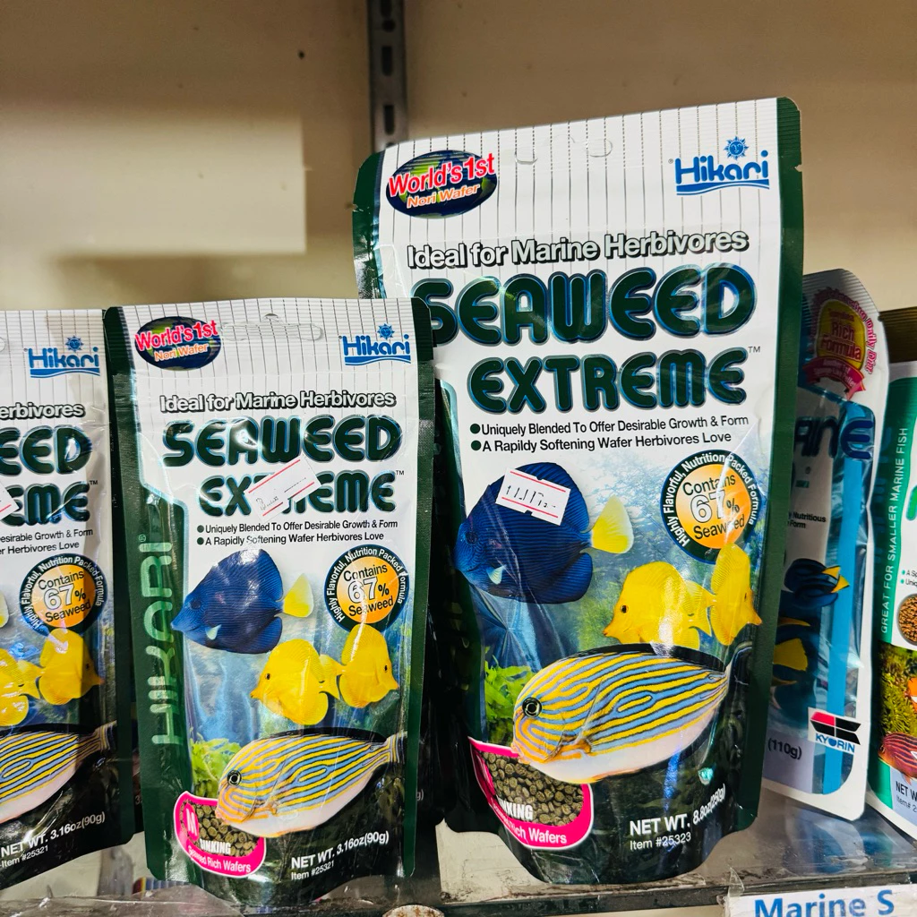 อาหารปลาทะเล สูตรสาหร่ายทะเล Hikari Seaweed Extreme ชนิดเม็ดกึ่งลอยน้ำ