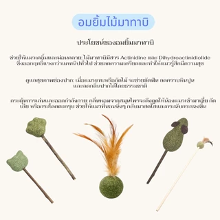 Boqi Factory catnip แคทนิปอมยิ้มเสียบไม้มาทาบิสมุนไพรแมวฟินแคทนิปแมวกัญชาแมว(ของเล่นแมว)​ Catnip Toy XJ