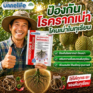 อูเมะไลฟ์ ไตรโคเดอร์มา 100 กรัม จุลินทรีย์ป้องกันรากเน่า เชื้อราในดิน ป้องกันเชื้อโรคในดิน บำรุงราก