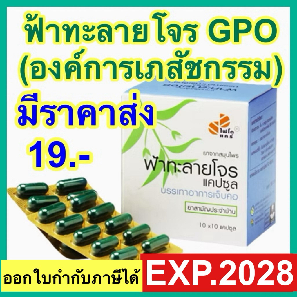 ฟ้าทะลายโจร แคปซูล องค์การเภสัช GPO ยาแผนไทย บรรเทาเจ็บคอ ไข้ ร้อนใน สมุนไพร Anodrographis Phyto car