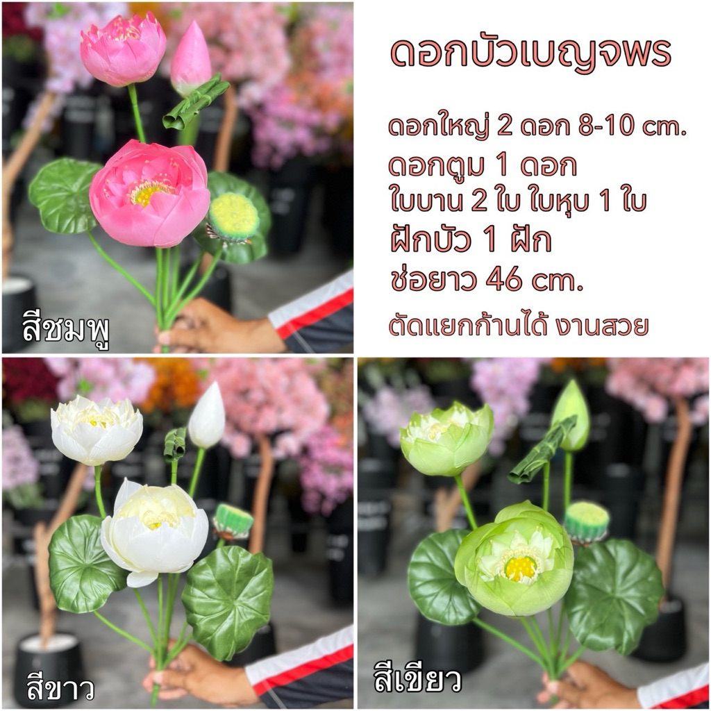 ดอกบัวปลอม(1ช่อ มี7ก้าน ดอกบาน2 ดอกตูม1 ฝักบัวอ่อน1 ใบ3)