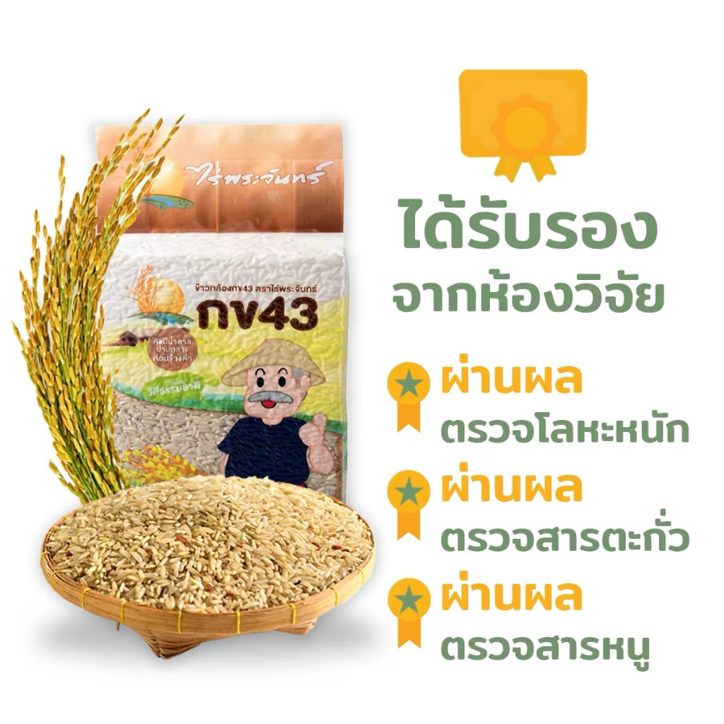 ข้าวกล้องกข43 คัดพิเศษ ปลอดสาร ไม่ใช้สารกันมอด แบรนด์ไร่พระจันทร์ ข้าวสาร brown rice