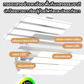 THAI โคมไฟตั้งโต๊ะ พัดลมตั้งโต๊ะ มีที่ใส่ปากกา ระบบสัมผัส ถนอมสายตา ปรับได้ 3 ระดับ สำหรับอ่านหนังสือ พร้อมส่ง