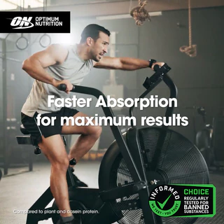 Optimum Nutrition Gold Standard Whey Protein 10 Serve