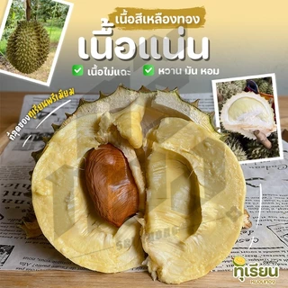 📌 ส่งฟรี-ส่งด่วน📌ทุเรียนหมอนทอง จันทบุรี 2.7-3kg(2ลูก) พร้อมวิดีโอชั่งน้ำหนักจริงทุกลูก! ศรีทอง cookingrun