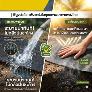 💥รุ่นใหม่ล่าสุดปี 2026💥 ผ้าคลุมดิน พลาสติกคลุมดิน ผ้าคลุมหญ้า ผ้าคลุมหญ้า ผ้ายางคลุมดิน กำจัดหญ้า พลาสติกคลุมดิน