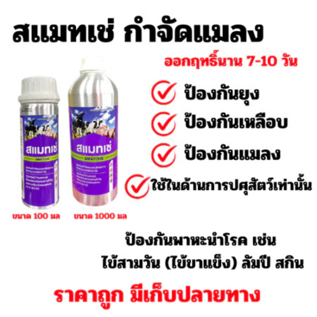 สแมทเช่ กำจัดแมลงป้องกันพาหะนำโรค เช่นไข้สามวัน ไข้ขาแข็ง ลัมปี้สกิน 100 มล.