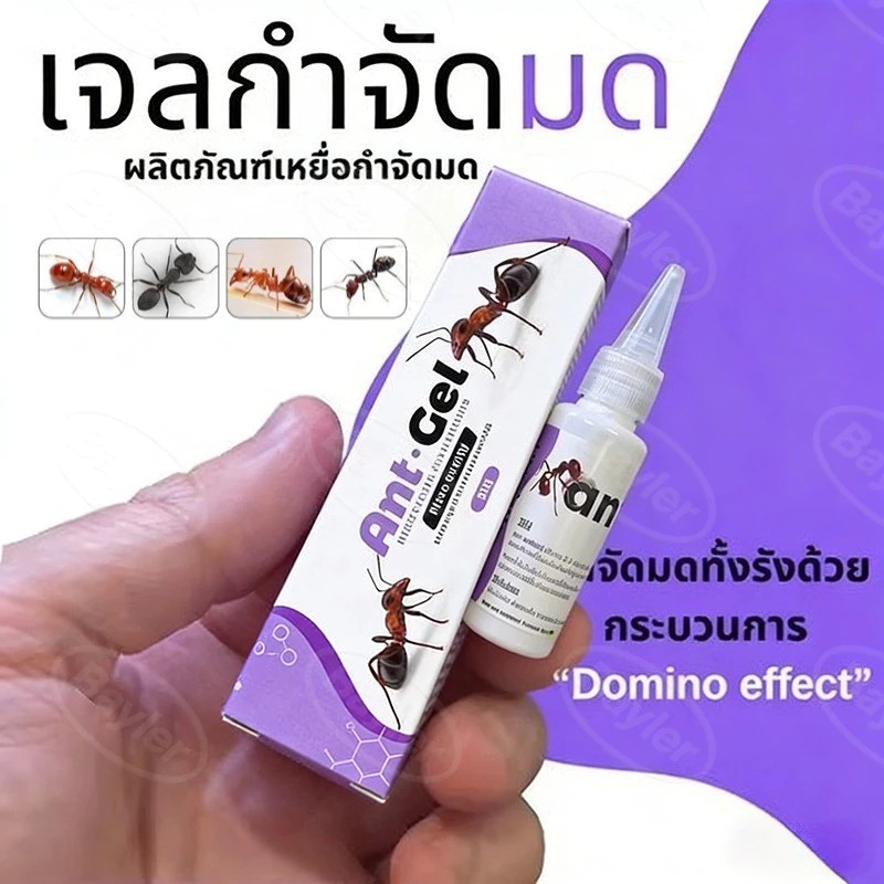 เจลกำจัดมด antiant ขนาด (50 กรัม)
