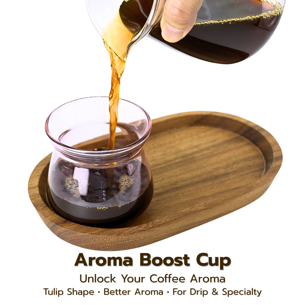 Aroma Boost Cup แก้วกาแฟทรง Tulip | เพิ่ม Aroma สำหรับ Drip & Specialty Coffee