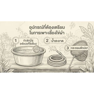 ไข่ผำ ชุดเพาะเลี้ยงไข่ผำ 38 บาท ไข่ผำสด เพาะเลี้ยงขยายพันธ์ุ พืช ปลอดสารพิษ ปลอดสารเคมี ผักพร้อมทาน ผักออแกนิก