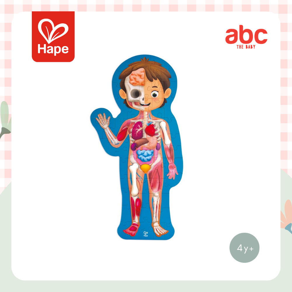 Hape จิ๊กซอว์ อะไรในร่างกายหนู Human Body Puzzle ของเล่นเสริมพัฒนาการ 4 ปี ขึ้นไป