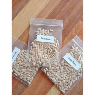 เมล็ดพันธุ์ฟักหอมใบเตย100เมล็ด69บาท