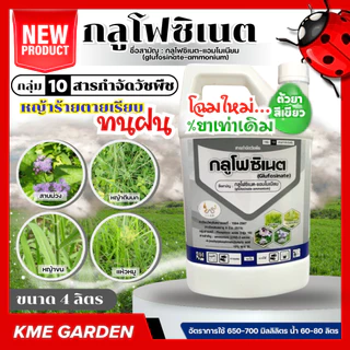 ( Live) [ตัวเลือก] NAAKกลูโฟซิเนต4ลิตร ยาฉีดหญ้า ทนฝน กลูโฟซิเนตแอมโมเนียม ป้องกันวัชพืชแบบใบแคบ และใบกว้าง