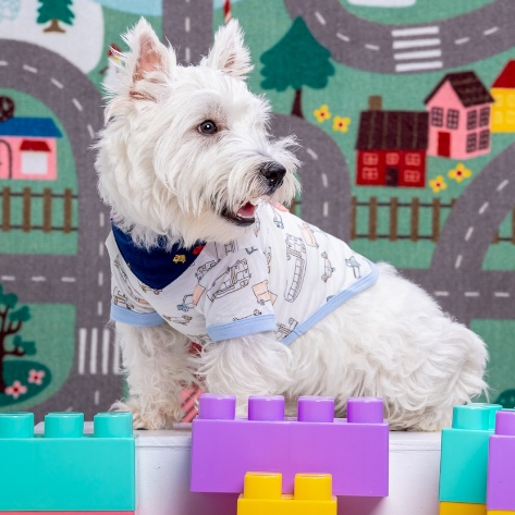 Favchild Mochit Pet Bodysuit | Childhood Party Collection