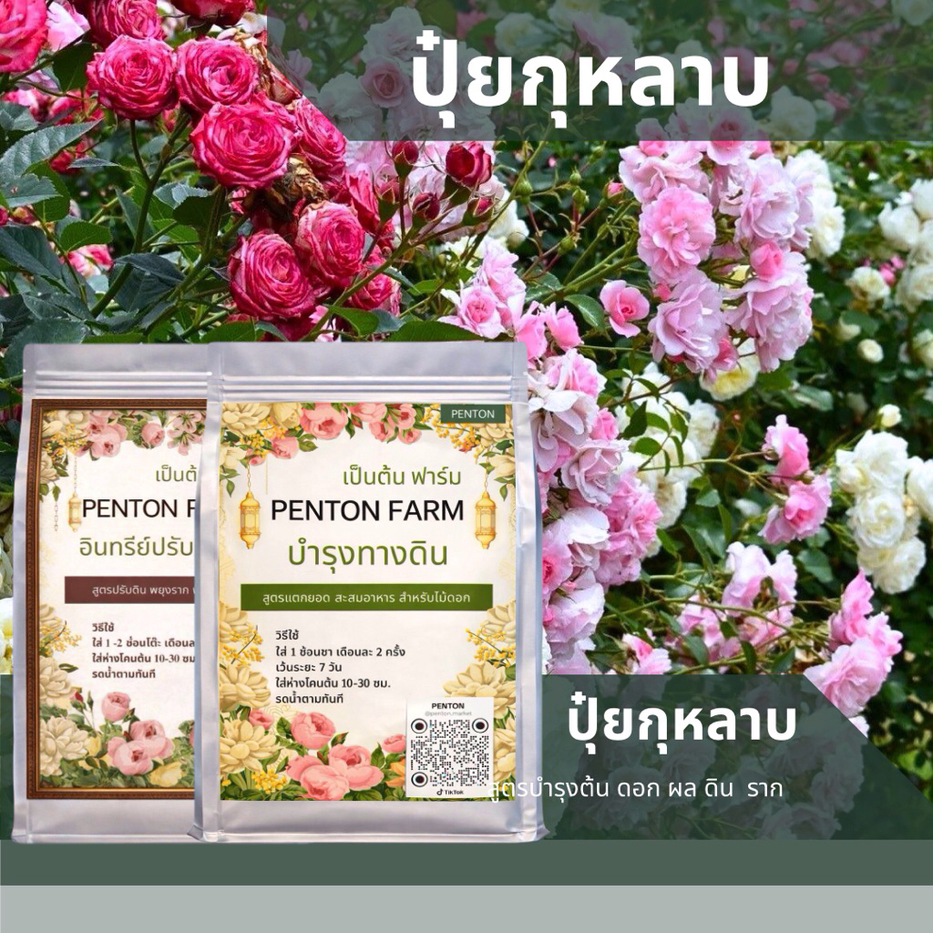 ปุ๋ยกุหลาบ เป็นต้น ฟาร์ม สูตรแตกยอด ดอกใหญ่