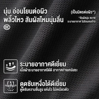 HAICOO กางเกงขาสั้นลำลอง ลายแมวน่ารัก แห้งเร็ว เอวยางยืด