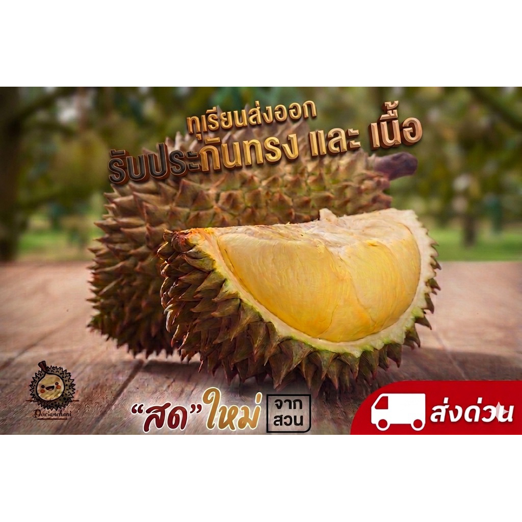 หมอนทองจันทบุรี AB เกรดพรีเมี่ยม เกรดส่งนอก (แท้) (รับประกันทรงและเนื้อ)