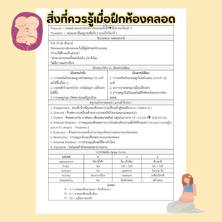 ครบเครื่องเรื่องขึ้นวอร์ด (All About Nurse)