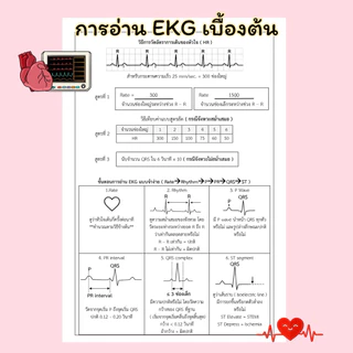 ครบเครื่องเรื่องขึ้นวอร์ด (All About Nurse)