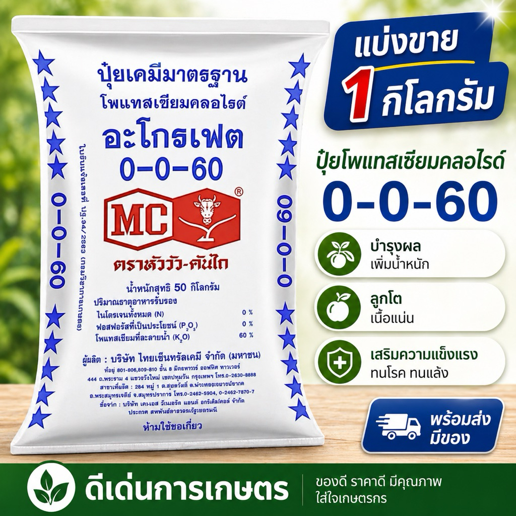 (แบ่งขาย 1 กก.)ปุ๋ยหัววัว 0-0-60(เกร็ด) เร่งแป้ง เร่งหวาน บำรุง ราก ปุ๋ยเร่งต้น ใบ ดอก ผล