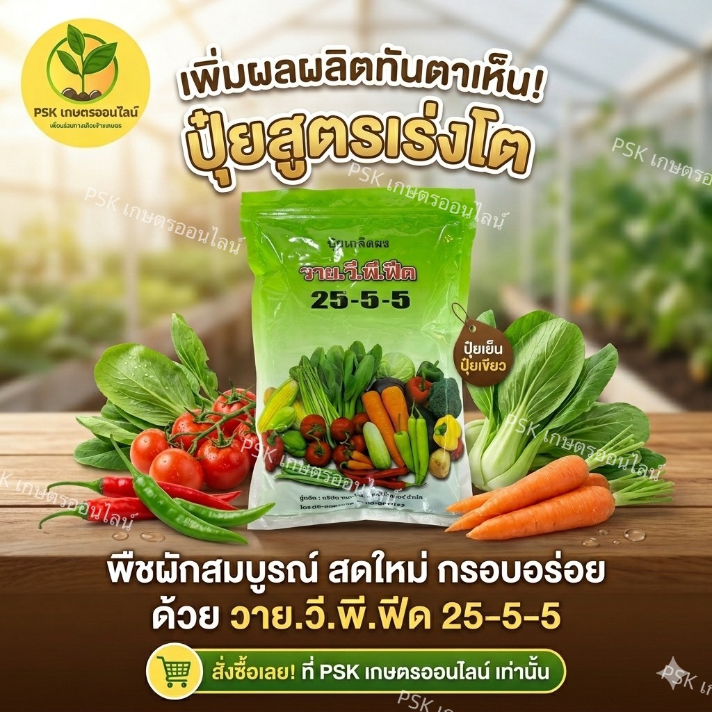 ปุ๋ยเกล็ด 1 กิโลกรัม สูตร 25-5-5 ละลายน้ำง่าย สำหรับพืชผักและไม้ผล วายวีพี.YVP.