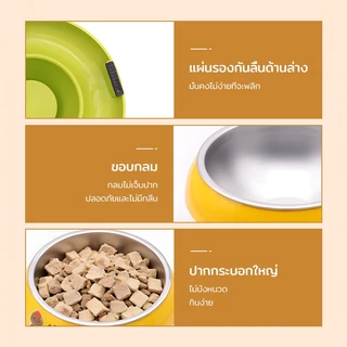 ชามอาหารสัตว์เลี้ยง Pet Bowl ชามสแตนเลส​ ชามสุนัข ชามอาหารแมว ฐานกันลื่น ป้องกันการเลื่อนขณะกินอาหาร ถอดออกได้ 3 สี