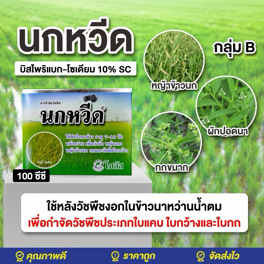 นกหวีด 100 ซีซี + ลาแตร์ 100 ซีซี บิสไพริแบก-โซเดียม 10% W/V SC กำจัดวัชพืชในนาข้าว ใบแคบ ใบกว้าง และกก