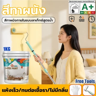 สีทาผนัง 1KG สำหรับผนังในบ้าน ใช้สำหรับรีโนเวท ซ่อมแซมผนัง ป้องกันรา กำจัดกลิ่น ไม่มีฟอร์มาลดีไฮด์ มิตรกับสิ่งแวดล้อม