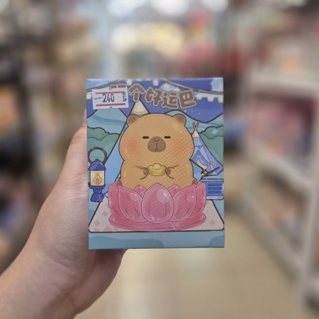 กล่องสุ่มสินค้าประเภท Capybara Buddha Daily Stickers