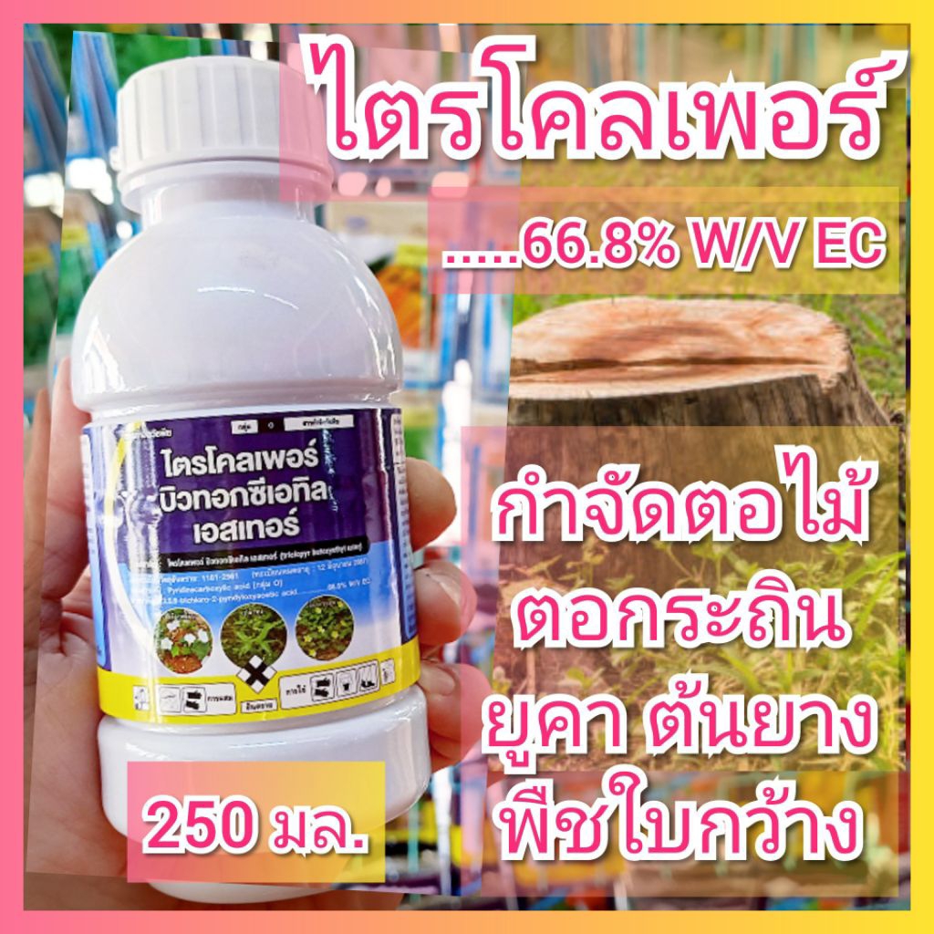 ยาฆ่าตอไม้ ไตรโคลเพอร์ 66.8% 250มล. กำจัดตอไม้ ยาทาตอ ตอกระถิน