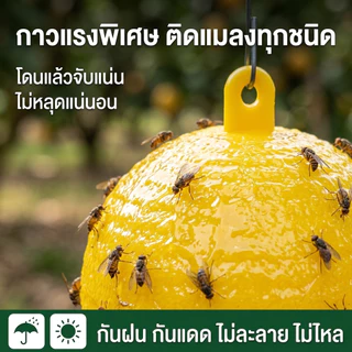 🔥รุ่นอัพเกรด 🔥ได้ผล3ปี🦟ลูกบอลดักแมลง กวาทรงพลัง กันน้ำกันแดด กาวดักแมลงหวี่ ที่ดักแมลงวันทอง กาวดักแมลงวัน ไม่ละลายกาว