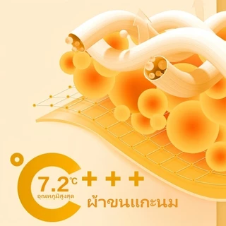 🌈แผ่น, แผ่นนุ่ม ผ้าคลุมเตียงกำมะหยี่นมบวกกำมะหยี่ ผ้าใส่สบาย