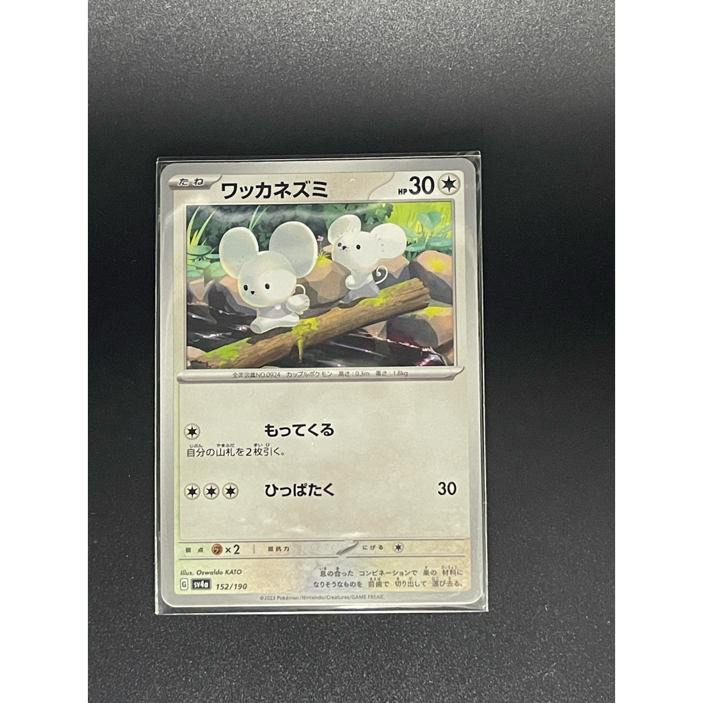 การ์ด pokemon  อิกคาเนซูมิ (Tandemaus/Maushold)