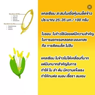 เอ-คอมโบ (A-Combo) สารบำรุงพืชสูตรเข้มข้น ช่วยขยายผล เพิ่มน้ำหนัก ขั้วเหนียว ลดการหลุดร่วง สำหรับพืชทุกชนิด ขนาด 1 ลิตร
