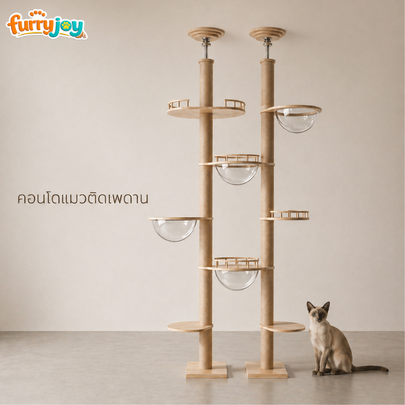 [FurryJoy] คอนโดแมวทรงสูง ยึดเพดาน 2.6-3.2m ไม่ต้องเจาะผนัง ไม้แท้ แข็งแรง DIY ได้