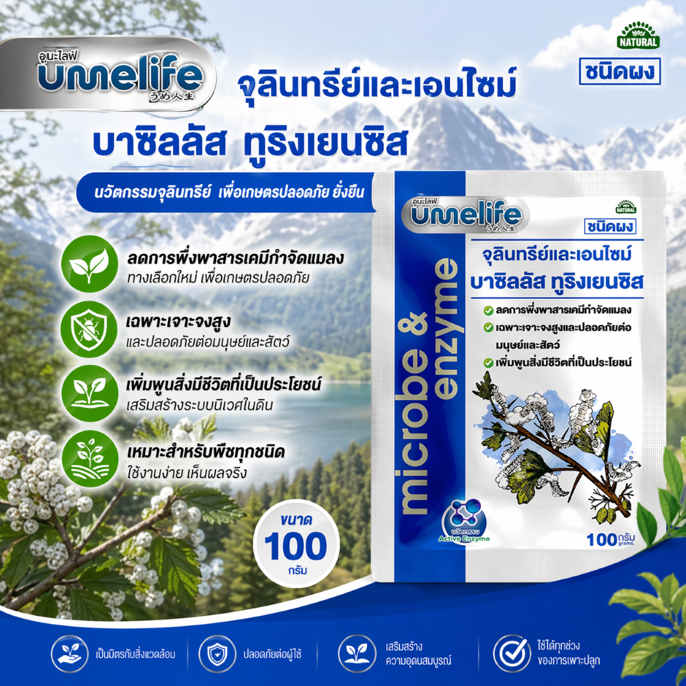 อูเมะไลฟ์ บาซิลัส ทูริงเยนซิส (BT) 100 กรัม จุลินทรีย์กำจัดหนอน แมลงกินใบ ป้องกันใบเหี่ยวจากเพลี้ย