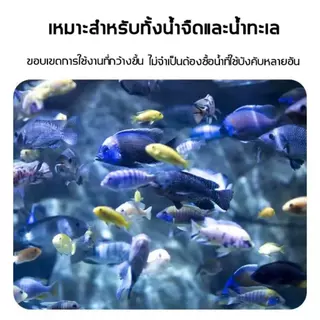 ผงเหลืองญี่ปุ่น ผงเหลืองแบคทีเรีย น้ำยาฆ่าเชื้อตู้ปลาทอง ผงเหลืองเม็ดสำหรับปลาคาร์ปและปลาสวยงาม (65 กรัม)