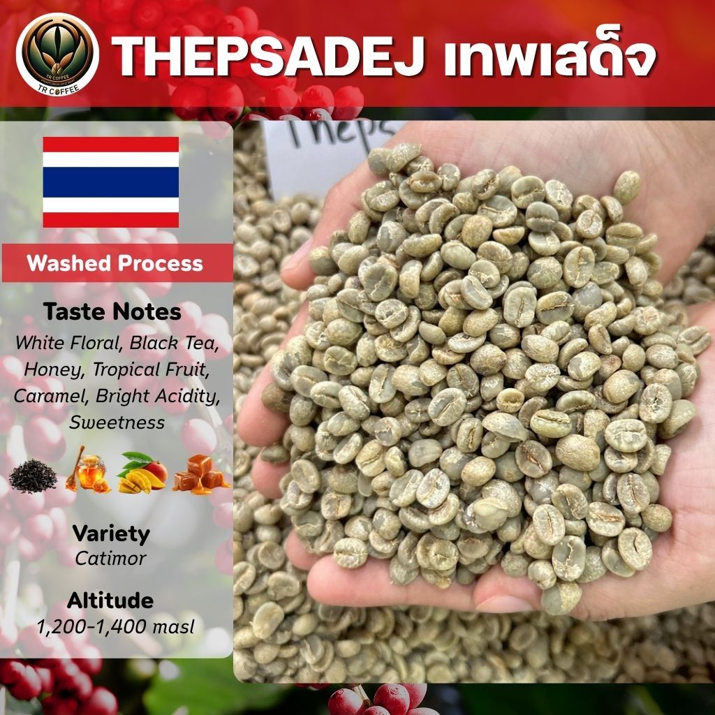 สารกาแฟไทย Thepsadej เทพเสด็จ อราบิก้า/Washed สั่งซื้อเกิน 20kg. ทักแชท เมล็ดกาแฟดิบ สารกาแฟดิบ