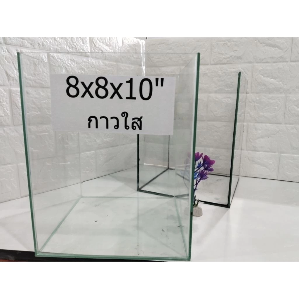 โหลปลากัด 8x8x10 นิ้ว กระจกหนา 3 มิล สำหรับปลากัดและสัตว์เล็ก พร้อมกาวใสและกาวดำ  รับประกันสินค้า thumbnail 6