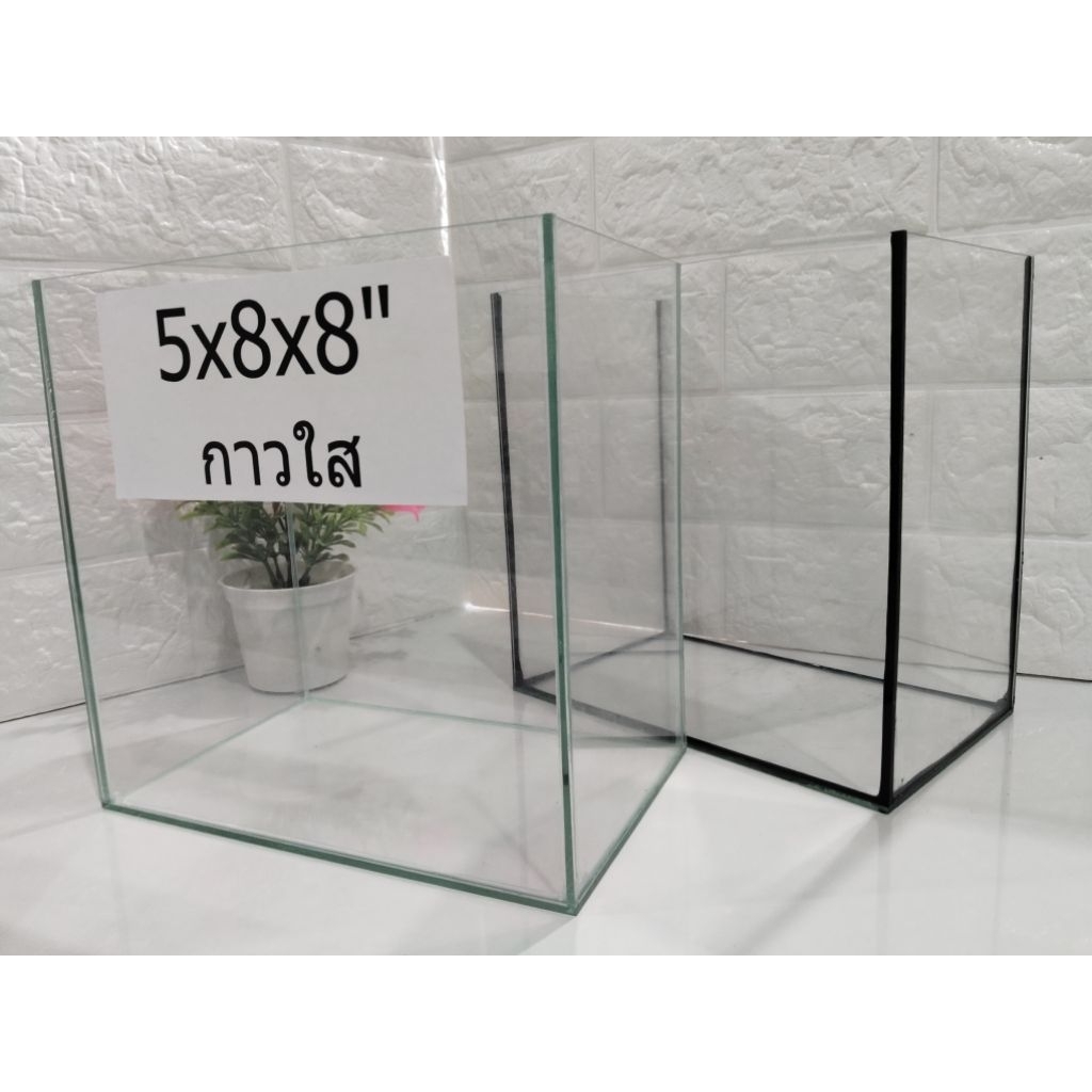 โหลปลากัด 5x8x8 นิ้ว กระจกหนา 3 มิล สำหรับปลากัดและสัตว์เล็ก พร้อมกาวใสและกาวดำ