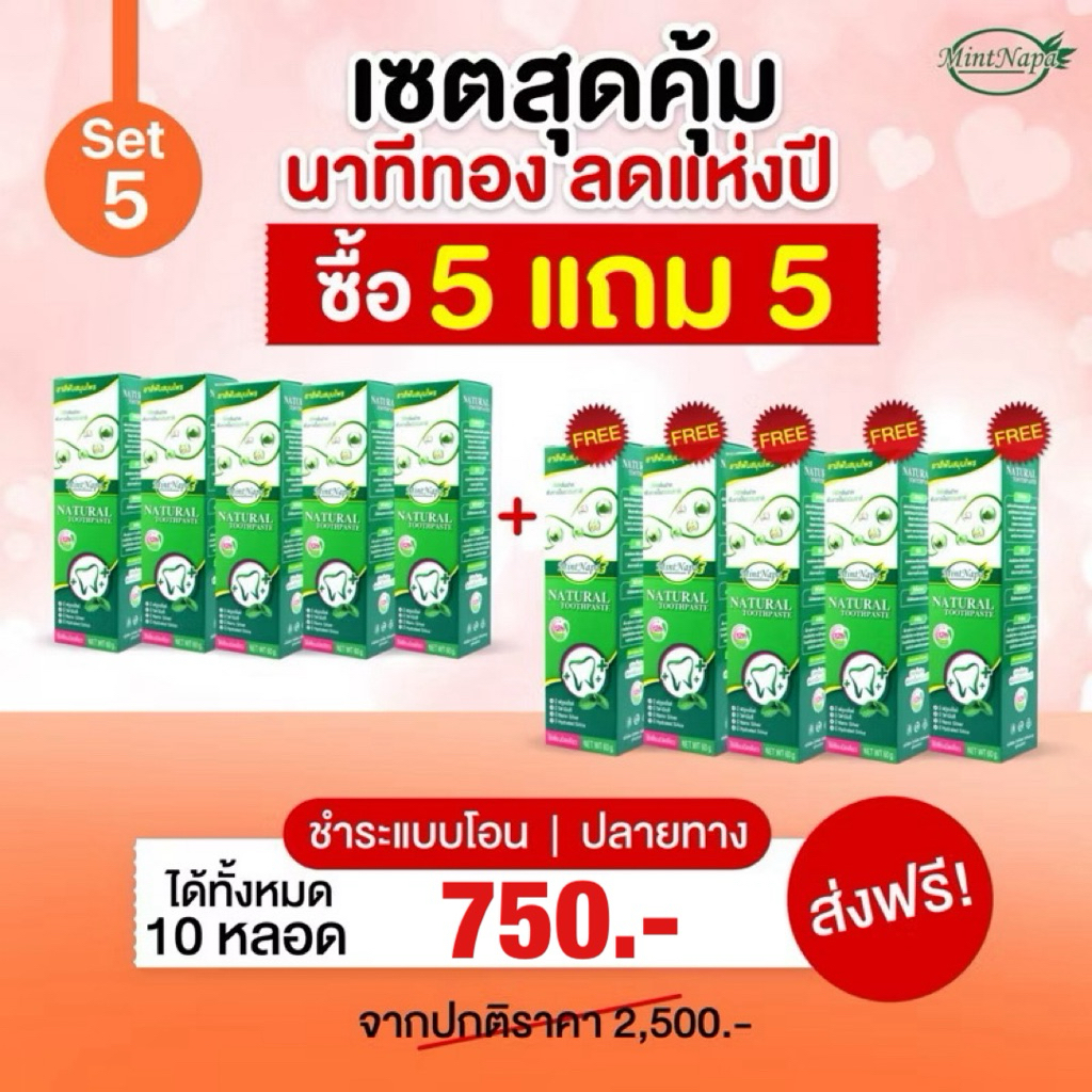 เซตสุดคุ้ม ยาสีฟันมิ้นท์นภา 5 แถม 5 หลอด