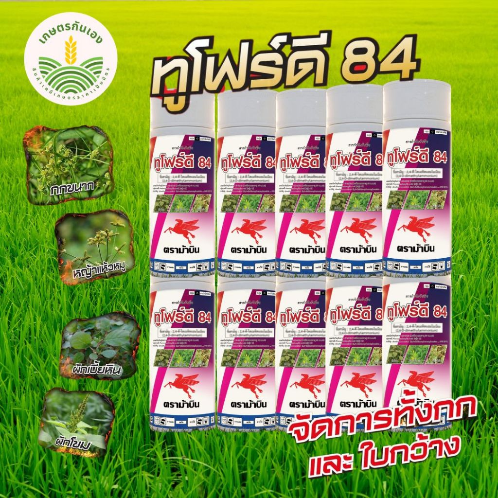 ทูโฟร์ดี ขนาด 1ลิตร 10ขวด ตราม้าบิน กำจัดวัชพืชใบกว้าง
