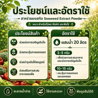 สาหร่ายผงดำสกัด สำหรับพืช Seaweed extract powder ขนาด 500/1,000 กรัม