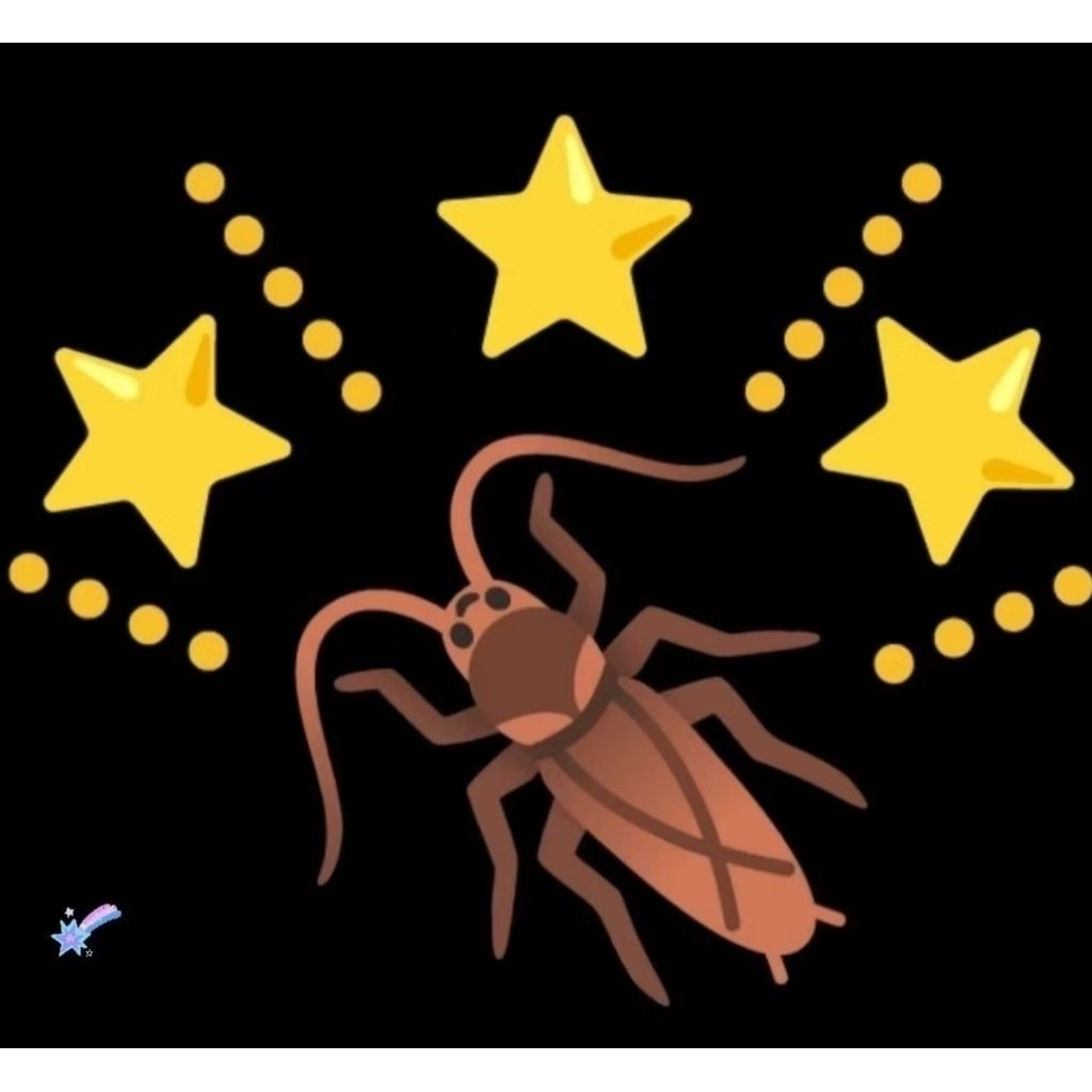 ®️ed runner 🪳 เรดรัuเuอร์  (Turkestan cockroach) 10-25 กรัม