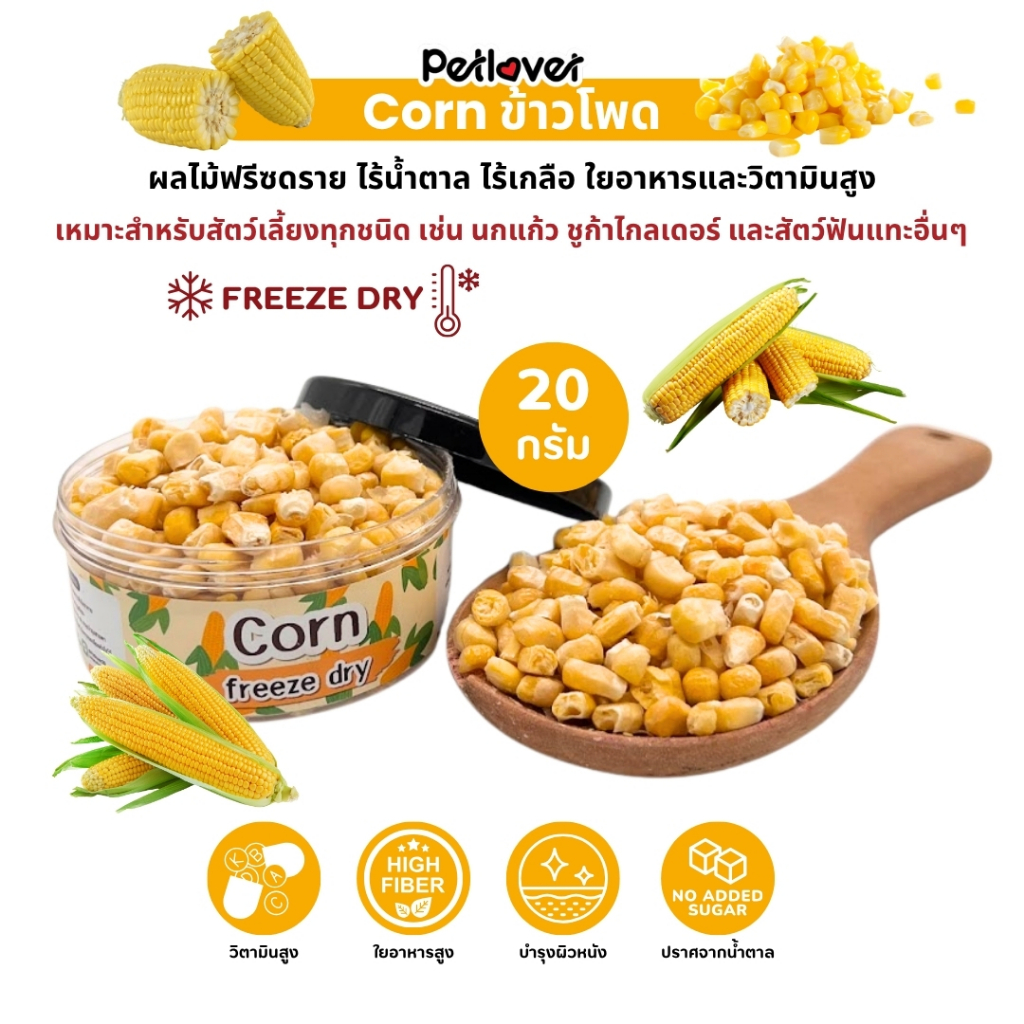 Corn ข้าวโพด ฟรีซดราย ไร้น้ำตาล ไร้เกลือ อาหารนกแก้ว และสัตว์ฟันแทะทุกชนิด (กระปุก 20G)
