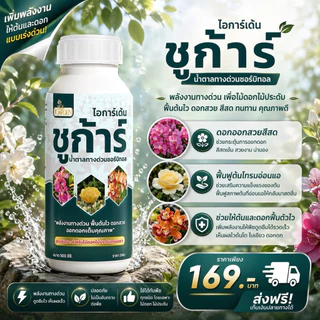 น้ำตาลทางด่วน ชูก้าร์ และ อะมิโนเร่งโต โตไว ใบสวย ต้นสมบูรณ์ ขวดละ500cc (1ชุด2 ขวด) แถมปุ๋ยเม็ด500g