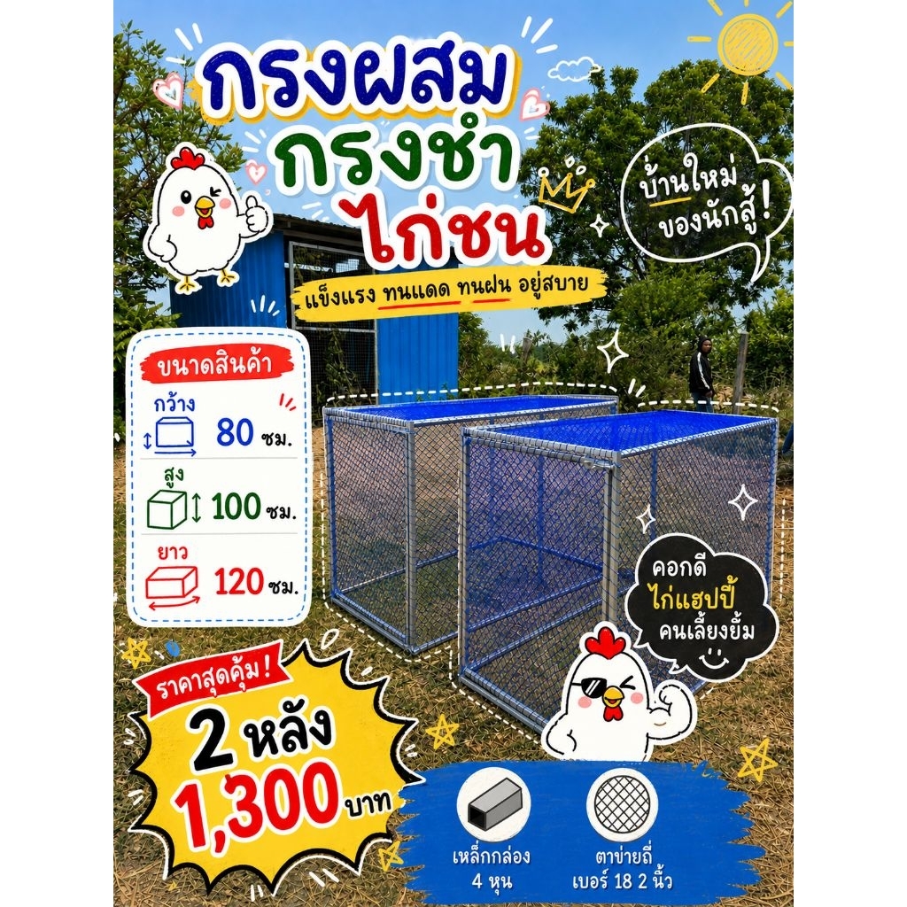 (ส่งจากไทย)กรงผสมเดี่ยวไก่ชน 80 × 100 × 120 เซนติเมตรชุด 2กรง