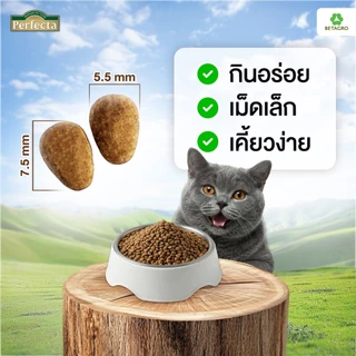 Perfecta อาหารแมว เกรดพรีเมี่ยม แมวโต อายุ 1 ปี ขึ้นไป สูตรแซลมอน เนื้อสดแท้ Human grade ขนาด 3 กก.