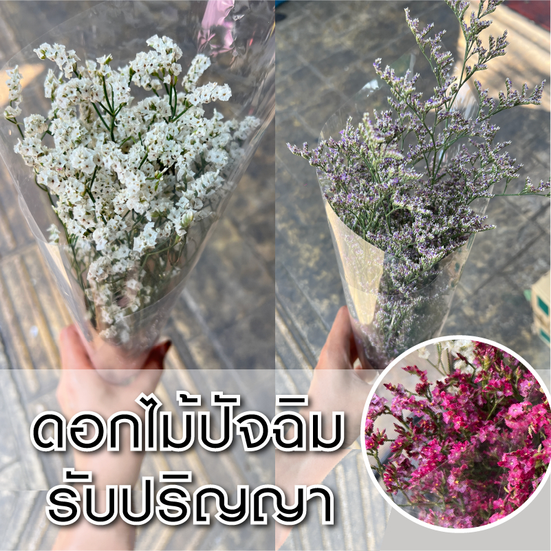 [ส่งใน 2 ชม] ช่อดอกไม้สด | ดอกสุ่ย ดอกแคสเปีย ดอกคัตเตอร์ | ดอกไม้ปัจฉิม ดอกไม้รับปริญญา ของขวัญ สุ่ย แคสเปีย